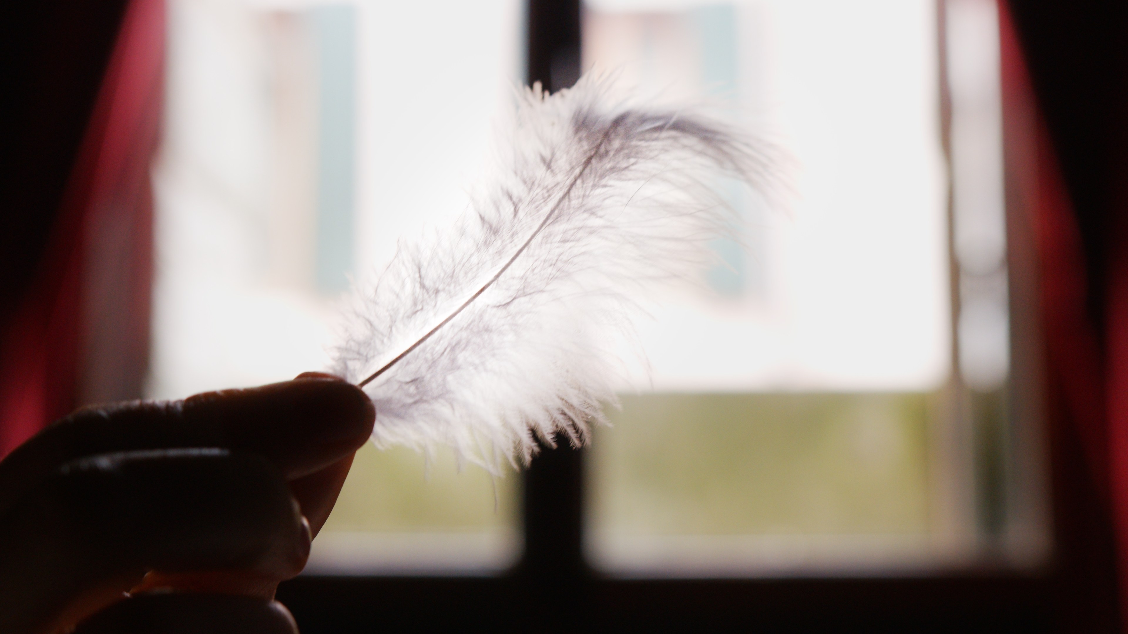 Alba Pluma video di lancio - Il Progetto - Immagine 1 orizzontale | Video produzione Drugofiles Pordenone